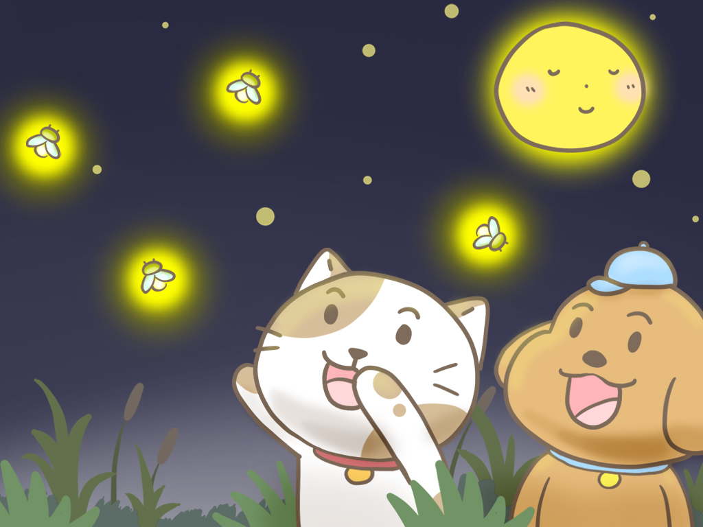 SPCA｜助養電子報-banner設計