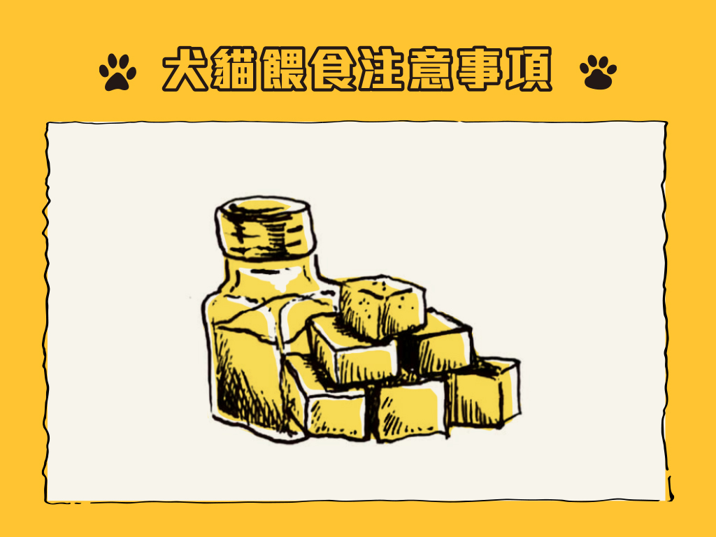 SPCA｜寵物餵食注意事項-排版設計