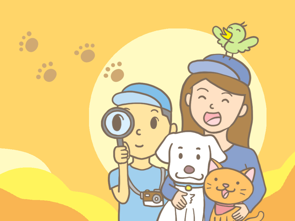 SPCA｜嘖嘖募資計畫-流程圖與視覺設計